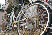 Bicycle_lr