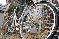 Bicycle_spp