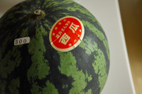 Watermelon_2011_1_1