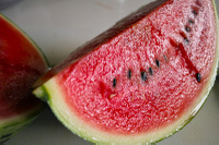 Watermelon_2011_1_3